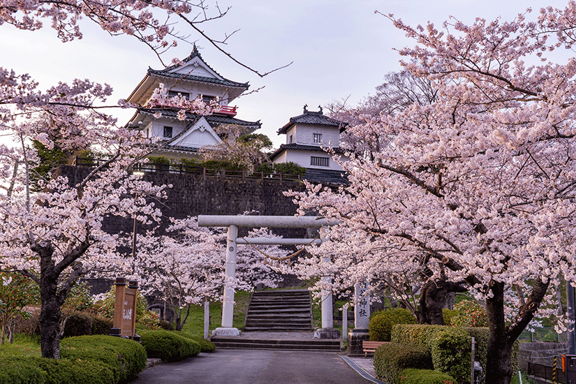 城と桜の写真